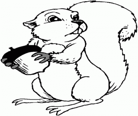 Squirrel With Acorn Printable Coloring Pages Ideas | ViolasGallery.