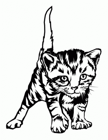 Cute Kitten Coloring Pages With 13551631 Pixel