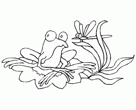 frog coloring page and dragonfly