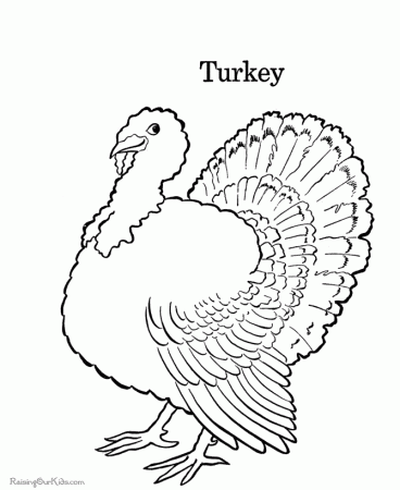 Turkey Thanksgiving Coloring Book Pages 019