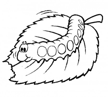 The Caterpillar Is On Top Of The Leaves Coloring Page - Kids 