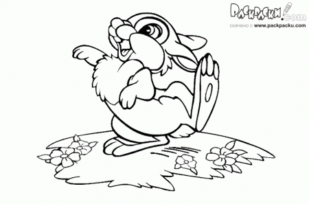 Rabbit Disney Character In Wonderland Coloring Pages - Disney 