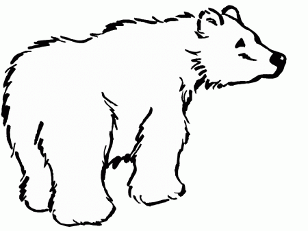 Realistic Bear Colouring Pages (page 2)