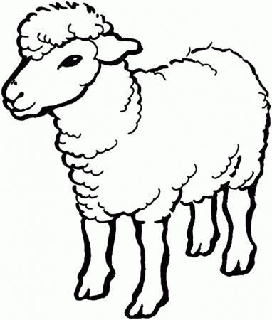 amazing Sheep Coloring Pages For Kids | Great Coloring Pages