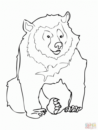 Asiatic Black Bear Coloring Online Super Coloring 256575 Black 
