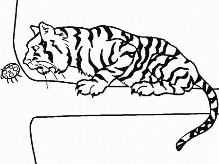 tiger fish Colouring Pages