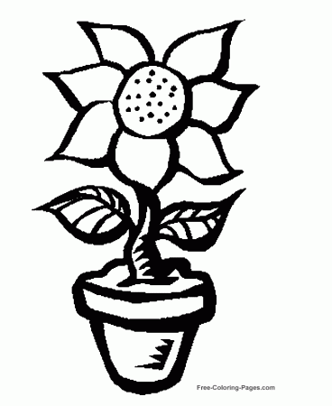 Flower coloring pages - Sunflower