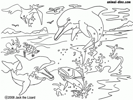 Animal Coloring Page (Dolphin) Print Size - Jack the Lizared 