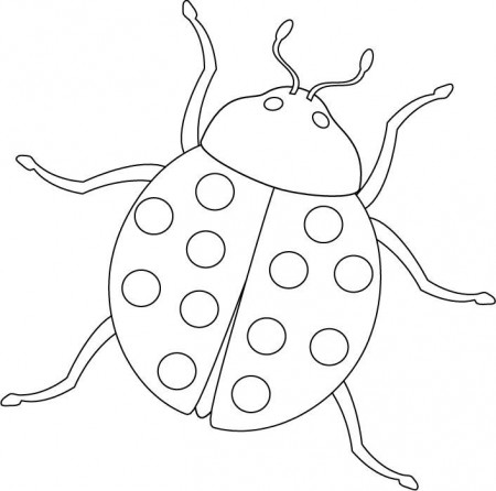 a ladybug Colouring Pages (page 2)