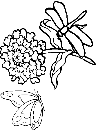 Dragonfly Dragonfly6 Animals Coloring Pages & Coloring Book