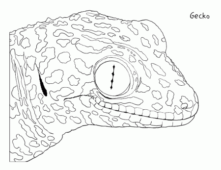 Gecko Games Coloring Pages | 99coloring.com
