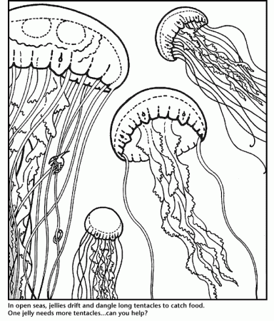 Coloring pages | 71 Pins