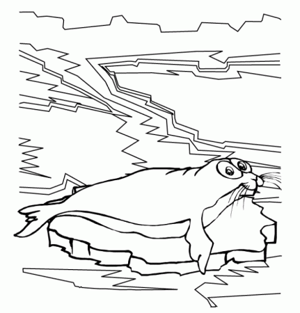 Print Seal Winter Animal Coloring Pages or Download Seal Winter 