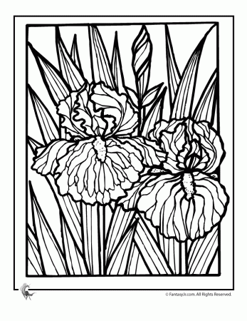 of flowers coloring pages 4 680x880 | Quilt Ideas