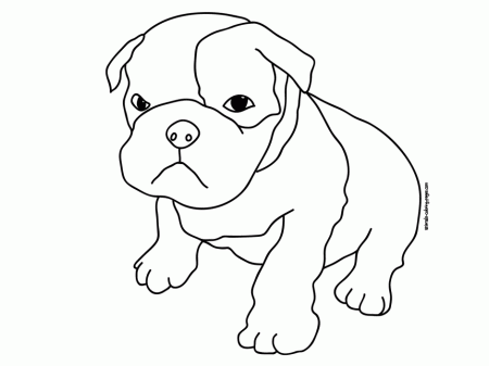 Real Animal Coloring Pages 37 Real Animal Coloring Pages 288371 