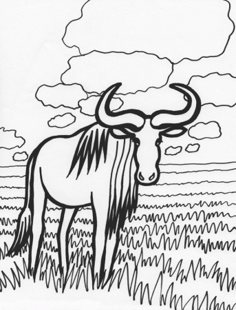 Ox coloring page - Animals Town - animals color sheet - Ox free 