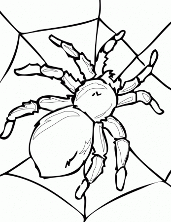 Spider Man Picture Coloring Games The Sun Games Site Flash 279640 