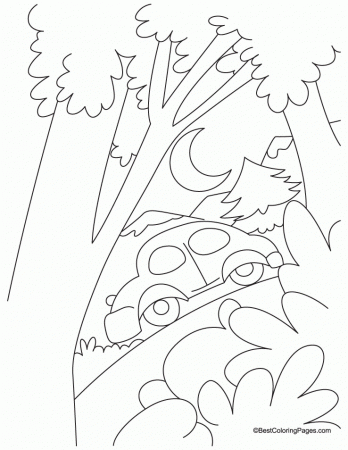 Car in a jungle coloring page | Download Free Car in a jungle 