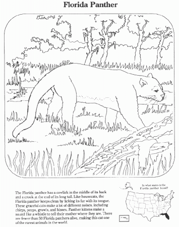 Animal coloring book, free printable animals coloring pages for kids