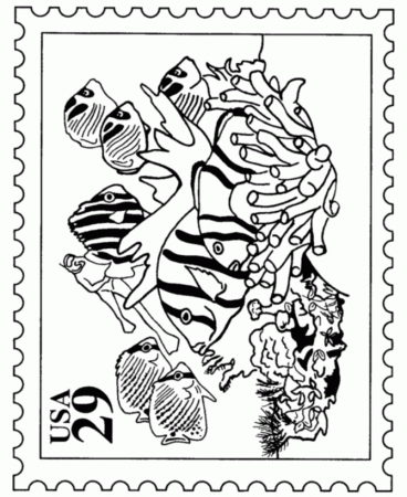 Tropical Fish Coloring Pages