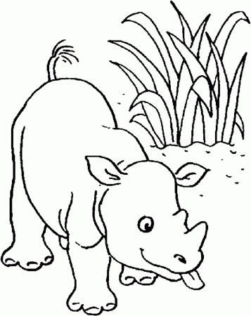 Coloring Picture Of Baby Rhinoceros | Kids Coloring Pages on dot Com
