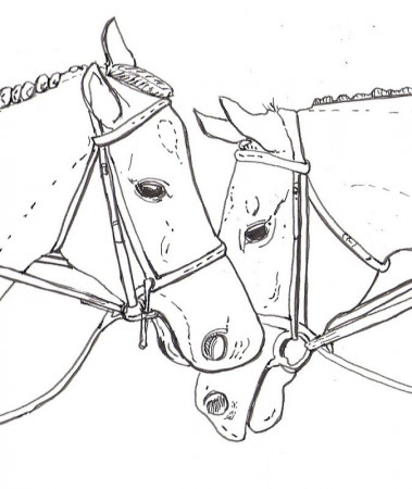Horse Coloring Pages | Top Coloring Pages