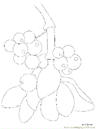 Coloring Pages Flower Coloring Pages Mistletoe (Natural World 
