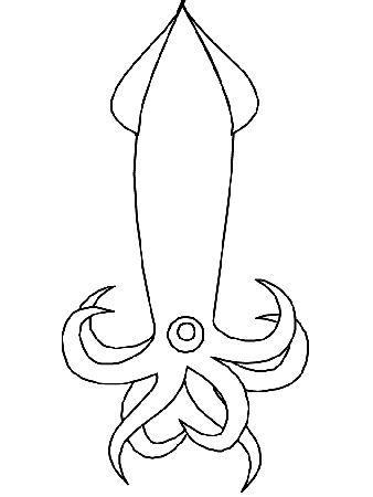 printable ocean squid animals coloring pages coloringpagebook com 