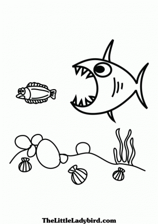 Coloring Page Of Big And Small Fish Coloring Pages The Little 