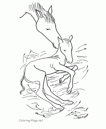 mares foaling Colouring Pages (page 3)