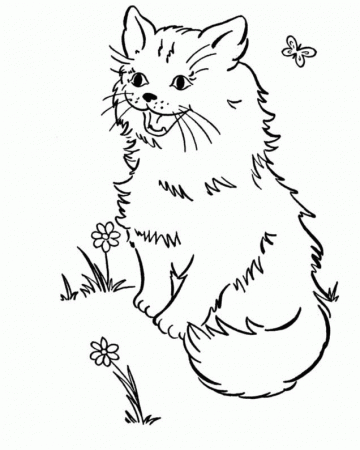 Cat In The Garden Coloring Pages - Cat Coloring Pages : Girls 