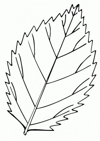 Leaves Coloring Pages | ColoringMates.