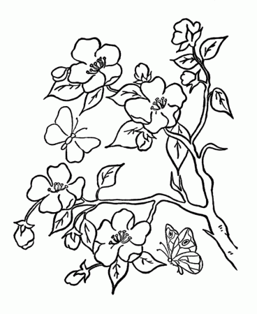 Flower Coloring Pages Online | Flowers Coloring Pages | Kids 