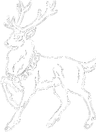 Male Reindeer In Christmas Day Coloring Pages - Christmas Coloring 