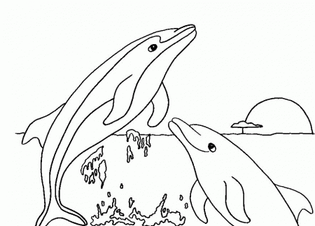 Coloring Pages Of Dolphins - Free Printable Coloring Pages | Free 