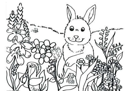 Coloring Pages Spring Flowers - Free Printable Coloring Pages 