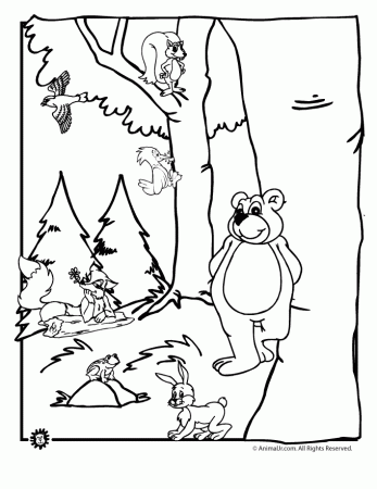 Forest Animal Printable Coloring Pages