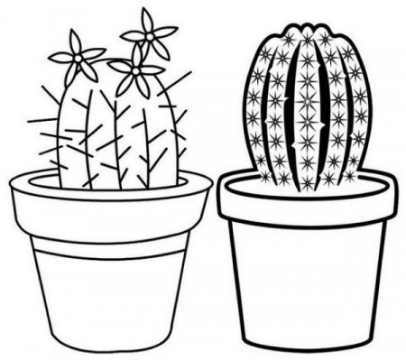 Beautiful Cactus on the Pot Coloring Page in 2022 | Coloring pages, Tree coloring  page, Coloring pages for boys