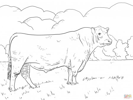 Bull Coloring Pages Girls - Coloring Pages For All Ages