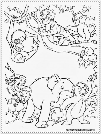 baby wild animal jungle animal coloring pages jungle animal ...