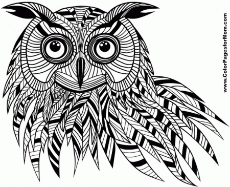 Free Printable Adult Coloring Pages - Owl Coloring Pages
