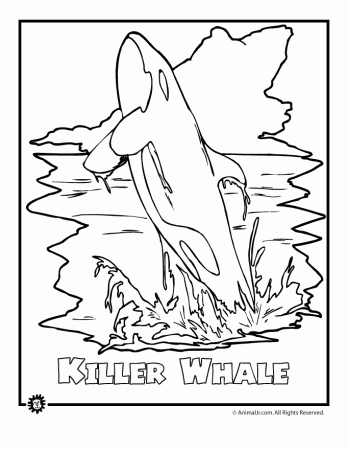 Killer Whale Endangered Animal Coloring Page - Woo! Jr. Kids ...