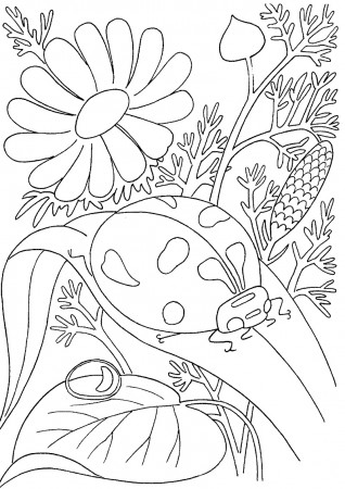 ladybird-among-flowers-coloring-page_resize - Online Coloring Pages