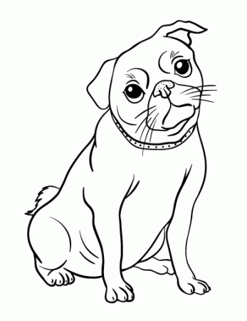 Free Pug Coloring Page | Puppy coloring pages, Cartoon coloring pages, Dog coloring  page