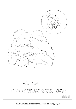 Connecticut State Tree Coloring Pages | Free Plants Coloring Pages | Kidadl