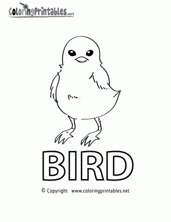 Spelling Bird Coloring Page - A Free Educational Coloring Printable