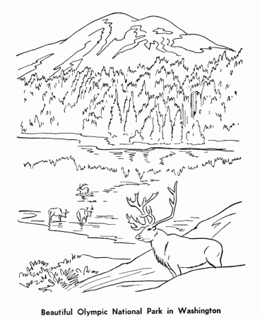 USA-Printables: Olympic National Park coloring pages