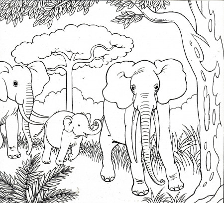 Elephant family coloring Mother elephant and baby elephant enjoyed family  outline drawing | Ezri.anayelizavalacitycouncil.com