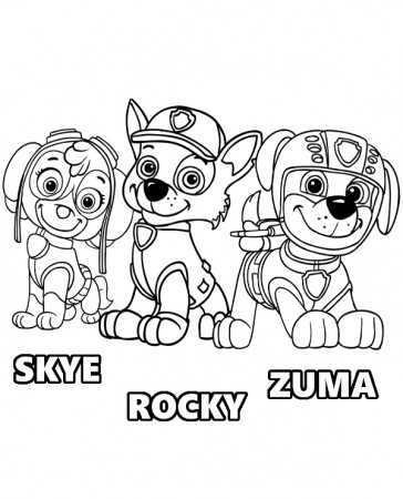 Skye Rocky Zuma Paw Patrol pups