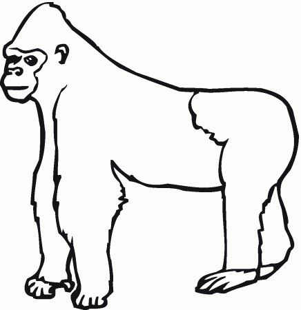 Gorilla Coloring Pages | Clipart Panda - Free Clipart Images